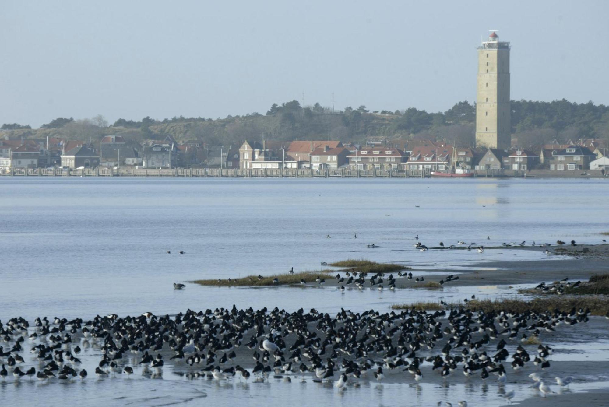 Stayokay Hostel Terschelling Вест-Терсхеллинг Экстерьер фото